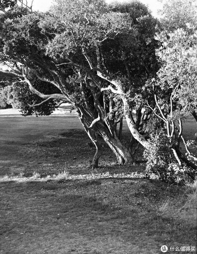 Bronica ETR系列中画幅胶片机镜头之:Zenzanon-PE 75mm F2.8