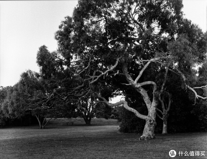 Bronica ETR系列中画幅胶片机镜头之:Zenzanon-PE 75mm F2.8