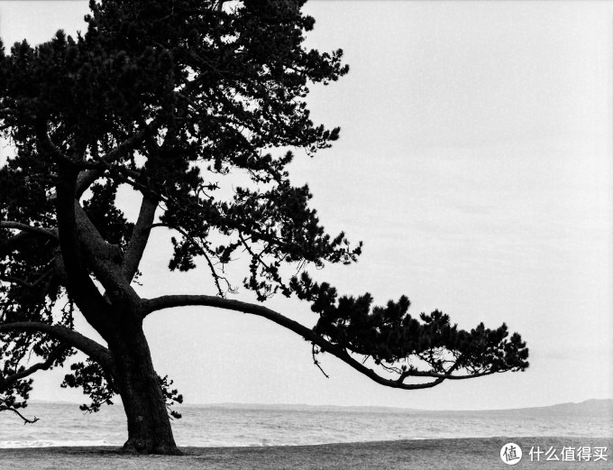 Bronica ETR系列中画幅胶片机镜头之:Zenzanon-PE 75mm F2.8