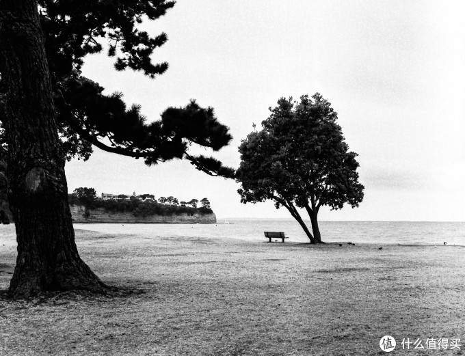 Bronica ETR系列中画幅胶片机镜头之:Zenzanon-PE 75mm F2.8