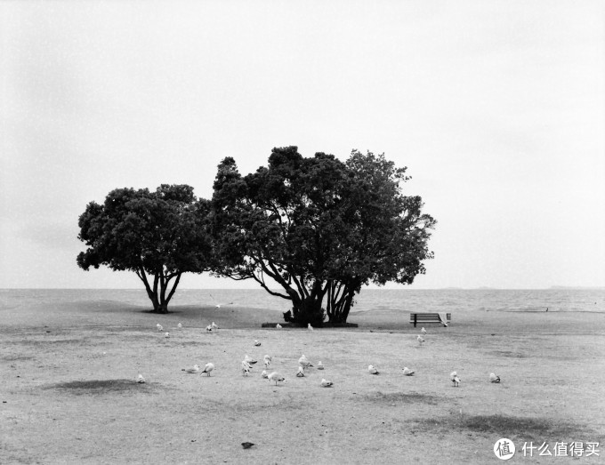 Bronica ETR系列中画幅胶片机镜头之:Zenzanon-PE 75mm F2.8
