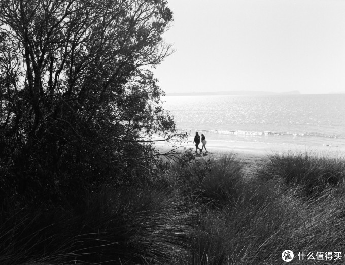 Bronica ETR系列中画幅胶片机镜头之:Zenzanon-PE 75mm F2.8