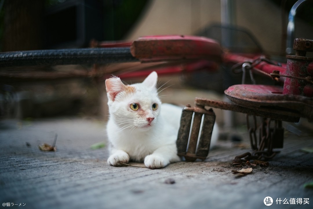 山泉水似无味有回甘Voigtlander Nokton FE40mm f/1.2 ASPH SE