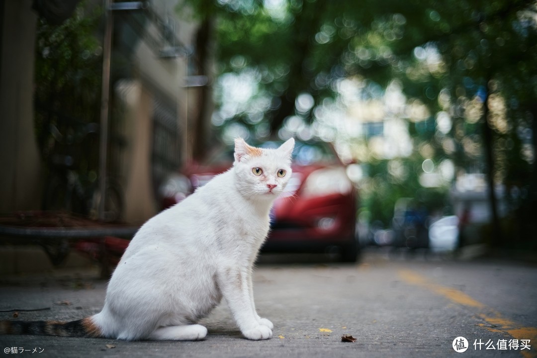 山泉水似无味有回甘Voigtlander Nokton FE40mm f/1.2 ASPH SE