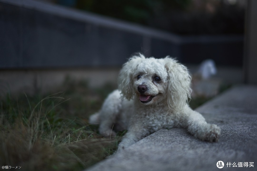 山泉水似无味有回甘Voigtlander Nokton FE40mm f/1.2 ASPH SE