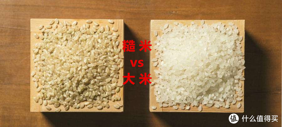 糙米vs大米，到底哪个更好？真相可能与你想的不一样