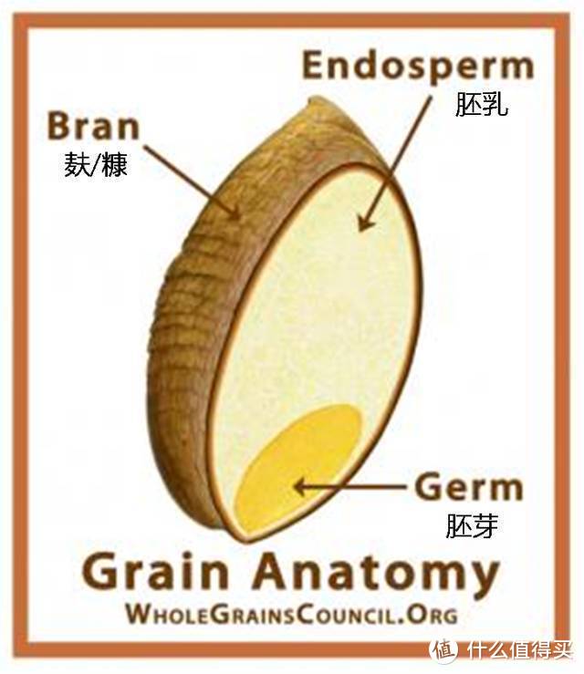 糙米vs大米，到底哪个更好？真相可能与你想的不一样