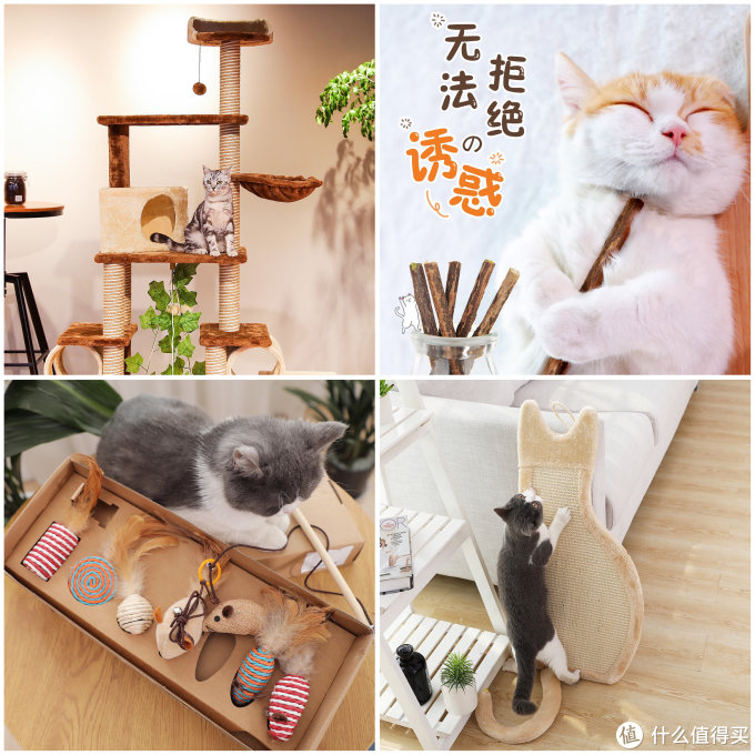 6家1688宠物用品同源店!百万粉大店源头工厂挖掘!同款低至3折!