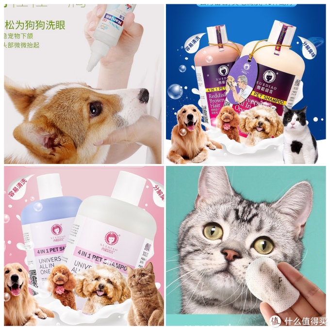 6家1688宠物用品同源店!百万粉大店源头工厂挖掘!同款低至3折!