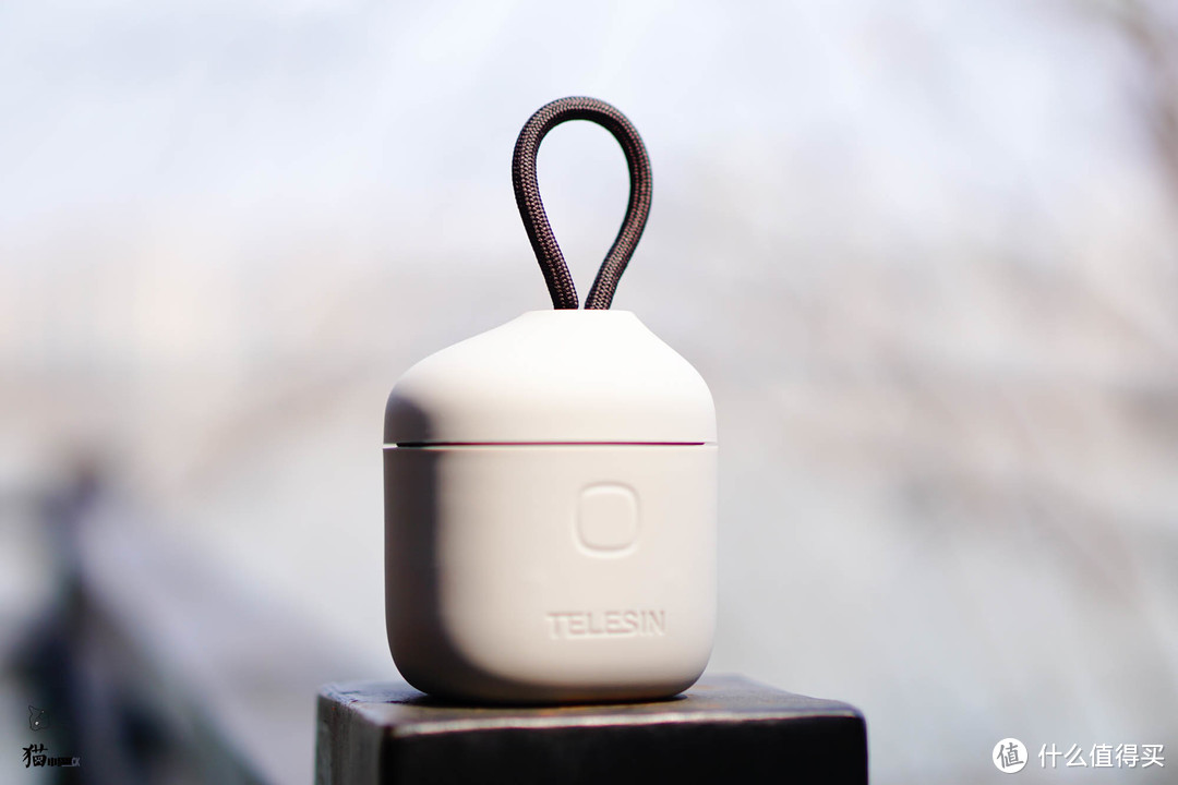 Telesin GoPro9 AllinBox 防水防尘+双卡收纳+三电充电+USB3.0读卡器