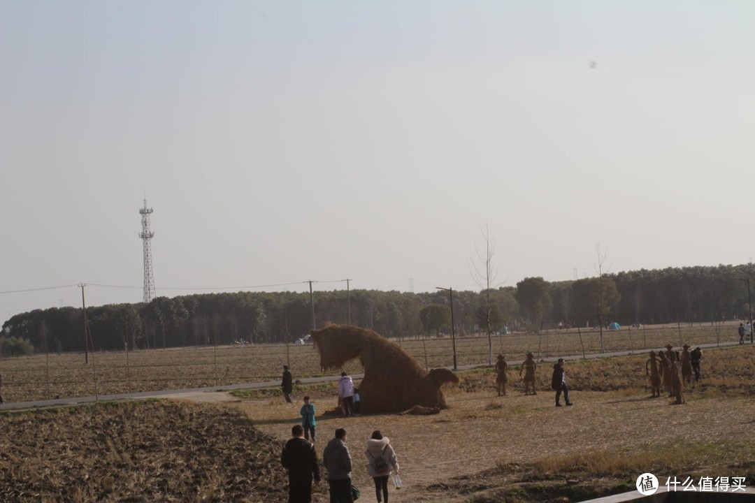 上海人少景美赏春处，嘉北郊野公园