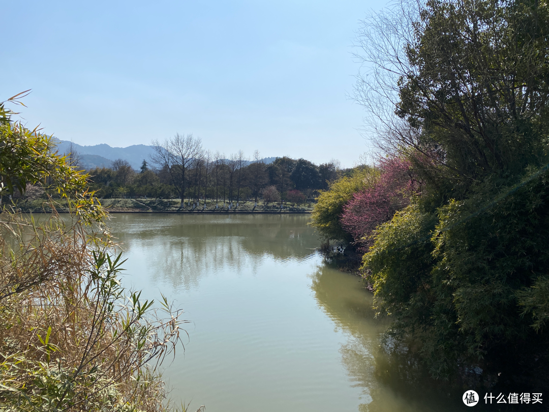 坐地铁游杭州（三）：冯导电影和宋高宗看上的“西溪国家湿地公园”