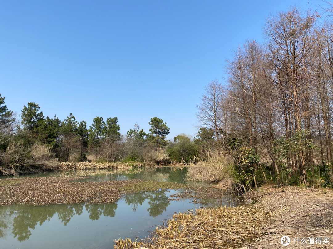 坐地铁游杭州（三）：冯导电影和宋高宗看上的“西溪国家湿地公园”