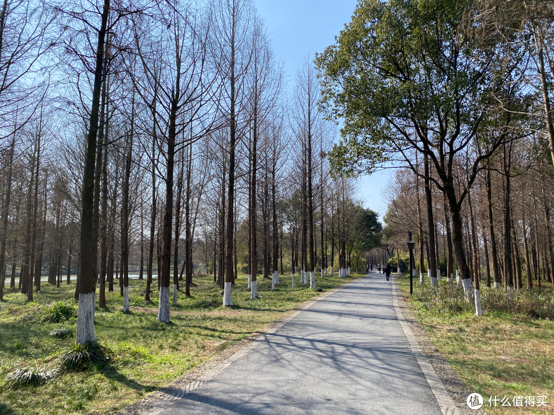 坐地铁游杭州（三）：冯导电影和宋高宗看上的“西溪国家湿地公园”