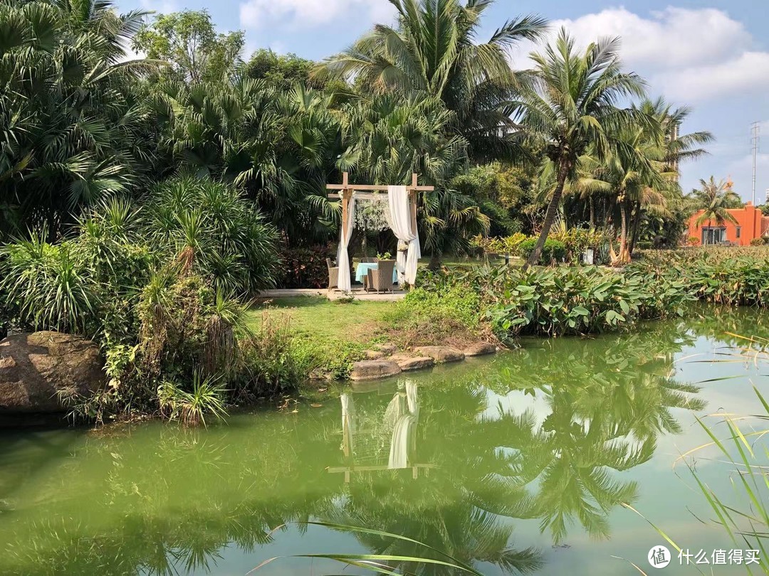 穷人版海南酒店过春节---多图