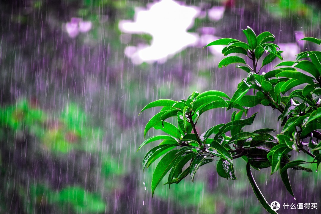 黄梅天的除湿好物——伊岛逐浪D15除湿机体验