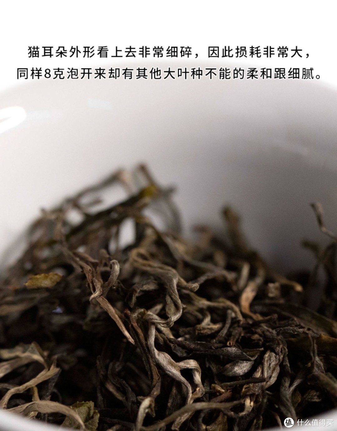 送茶选大牌有迹可循，还是小众有神秘感？最终还是选择了后者！