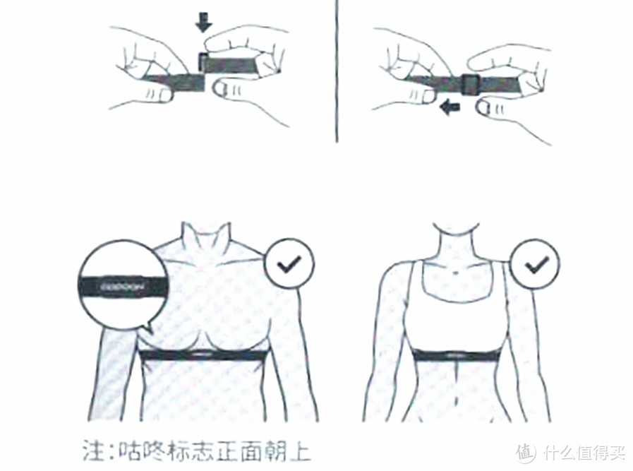 轻巧有效实时播报 拥有一个靠谱的心率带很有必要