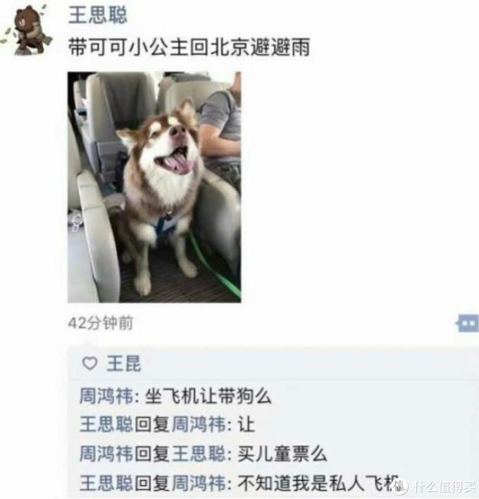 一篇读懂【宠物托运】那点事,最强指南手册来了!
