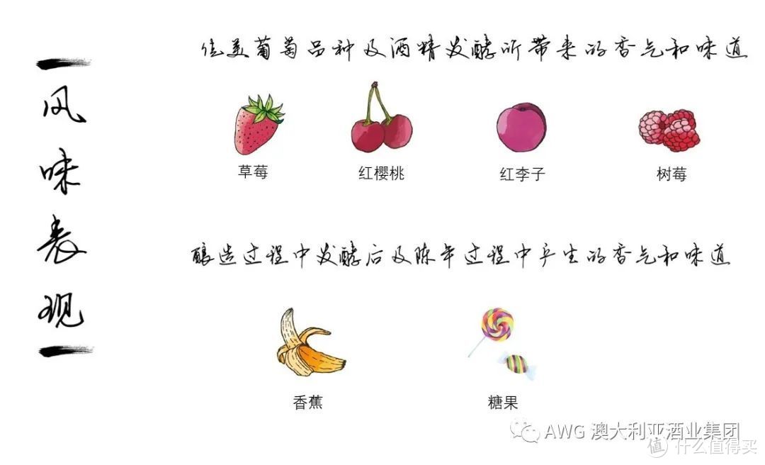 葡萄酒的100节课程 | 12-博若莱葡萄酒——佳美