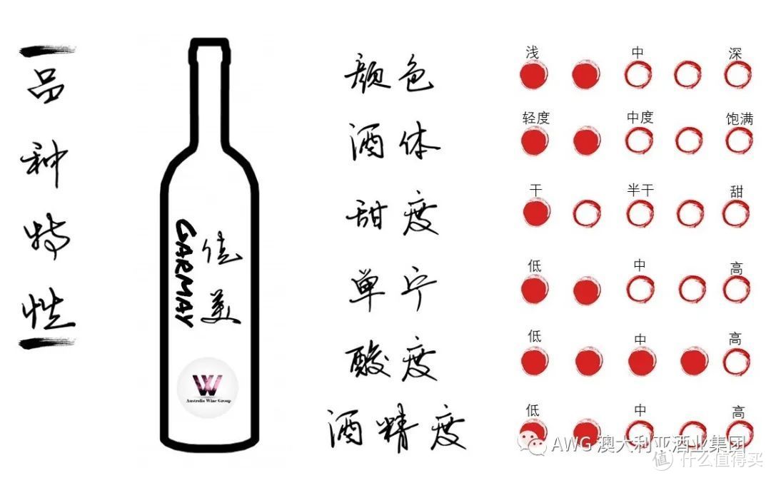 葡萄酒的100节课程 | 12-博若莱葡萄酒——佳美