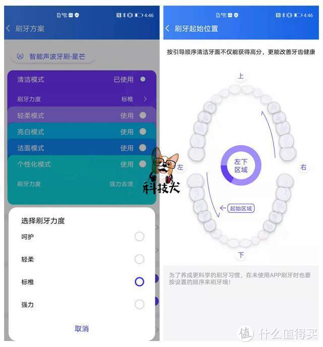 力博得智能声波牙刷星芒评测：护龈洁齿更全面