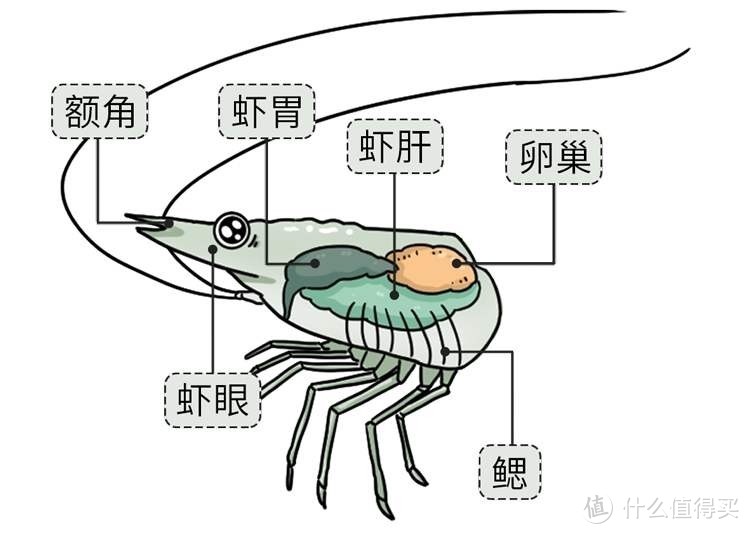 家常菜之虎皮虾