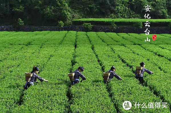 在四季如春的云台山，过一个温暖的元宵节