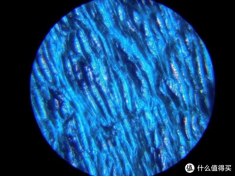 120倍 科学罐头手持便携式3合1科学显微镜