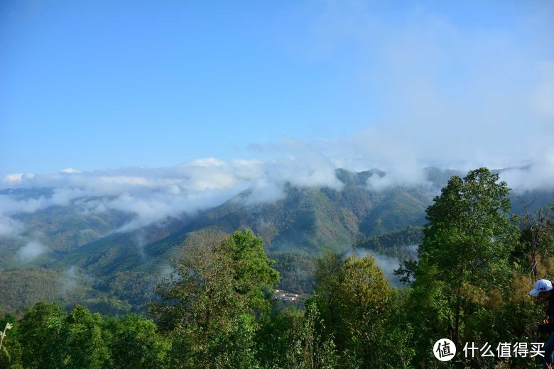 云南古六大茶山地区，几乎每个山头和村寨茶园都带有自己独特的风味和香气