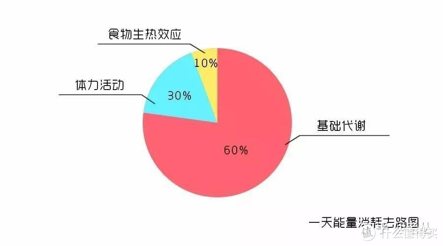 节食减肥是徒劳吗？一定会反弹吗？对身体有伤害吗？