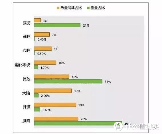 节食减肥是徒劳吗？一定会反弹吗？对身体有伤害吗？