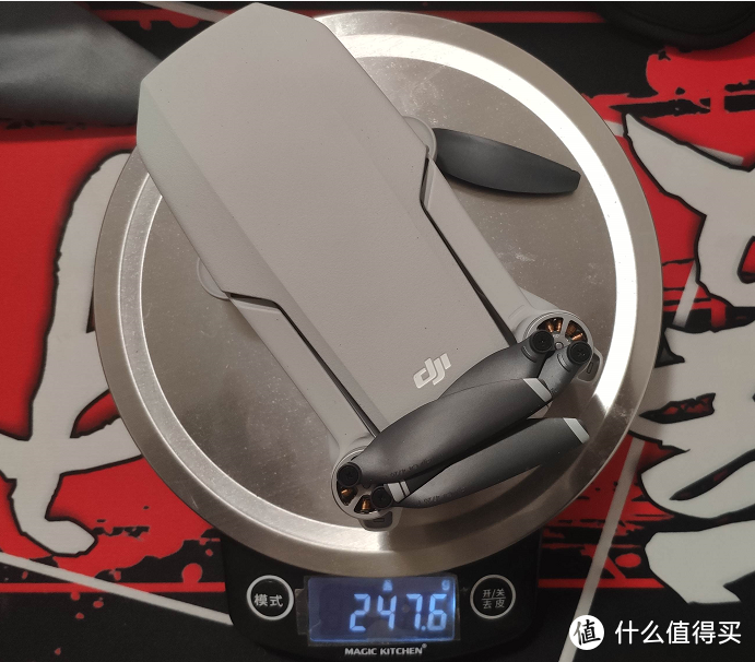 上称体重：247.6g