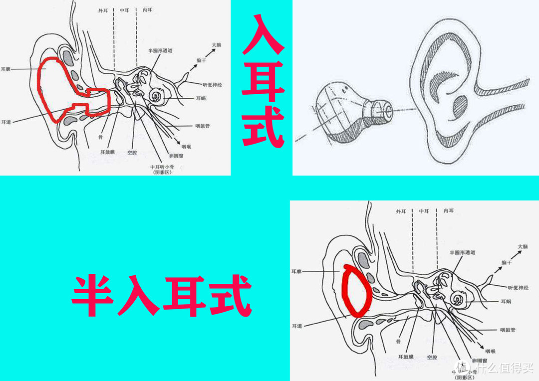 半入耳和入耳式图解图片