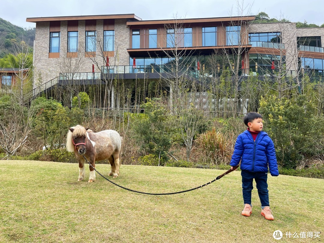 背景就是餐厅，即南溪阁