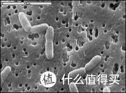 科学选用益生菌必看的攻略