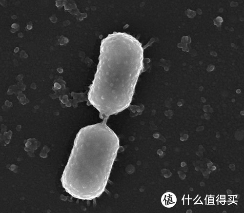 科学选用益生菌必看的攻略