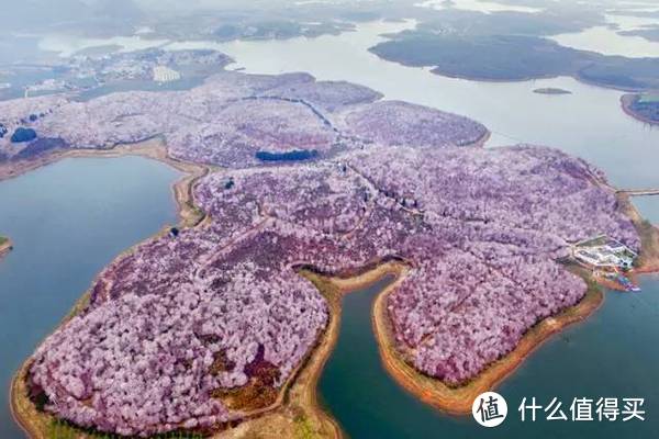 全国赏花地图，花期一篇看完！再过10天，全世界都要羡慕死中国了！