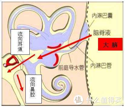 适合中国家庭的抗灾防疫急救知识大全，另附4大类应急物资清单！