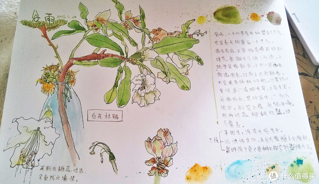 元气图书篇一阅读在驶向春天的列车上绿的树晴的天美