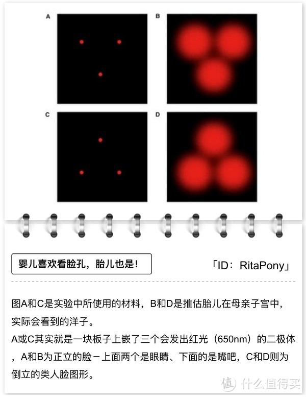 研究称「新生儿」偏爱脸孔图形相关绘本促社交技能发展