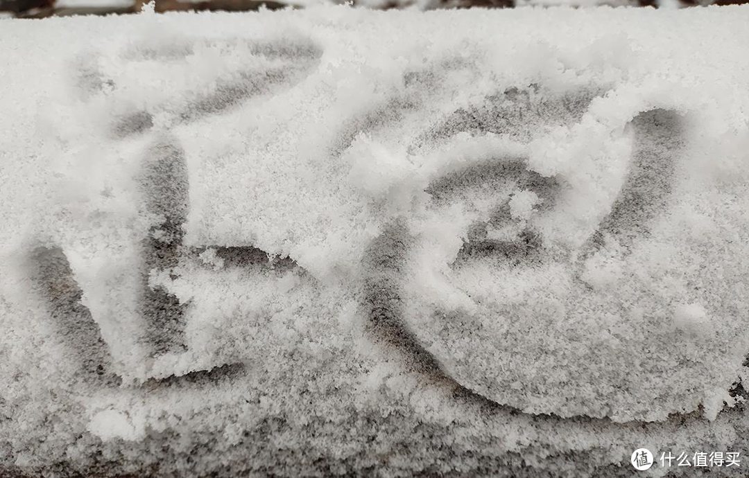 手机摄影|雨夹雪下的公园随拍记录