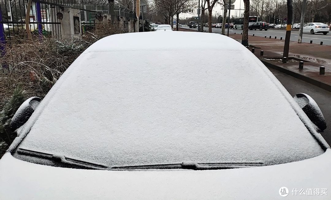 手机摄影|雨夹雪下的公园随拍记录