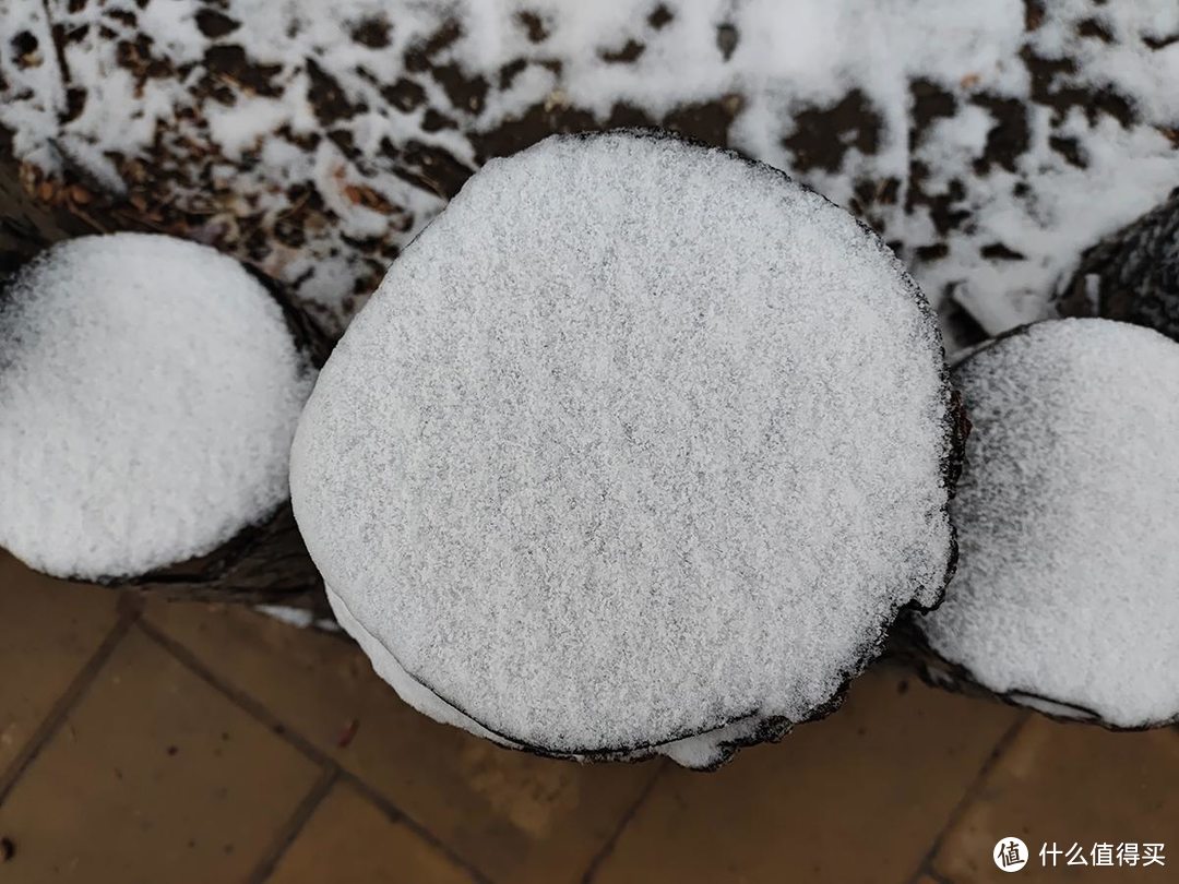 手机摄影|雨夹雪下的公园随拍记录