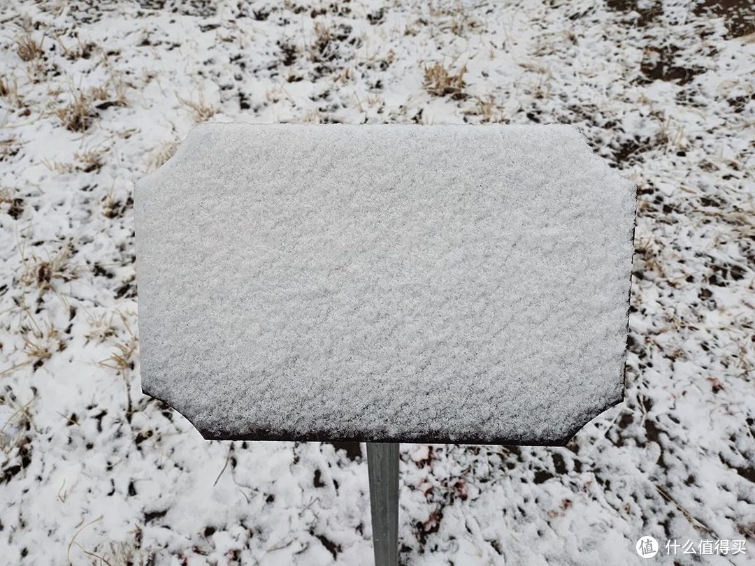 手机摄影|雨夹雪下的公园随拍记录