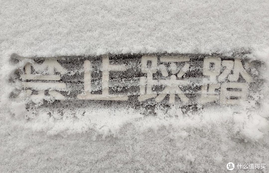 手机摄影|雨夹雪下的公园随拍记录