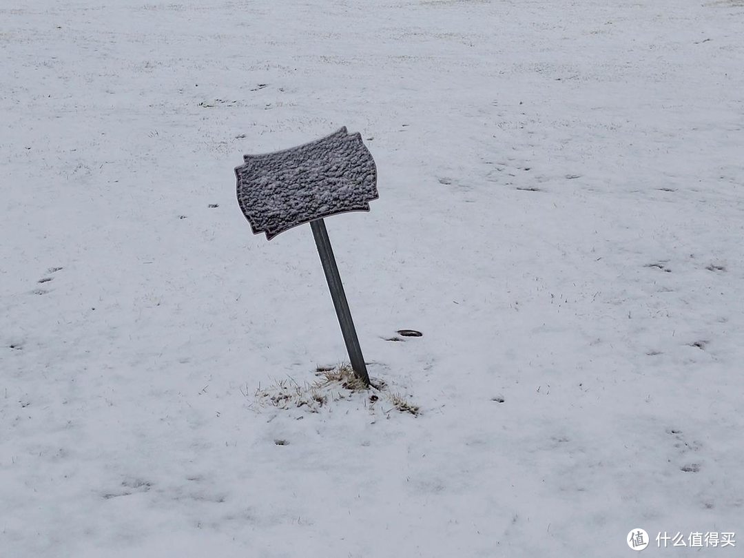 手机摄影|雨夹雪下的公园随拍记录