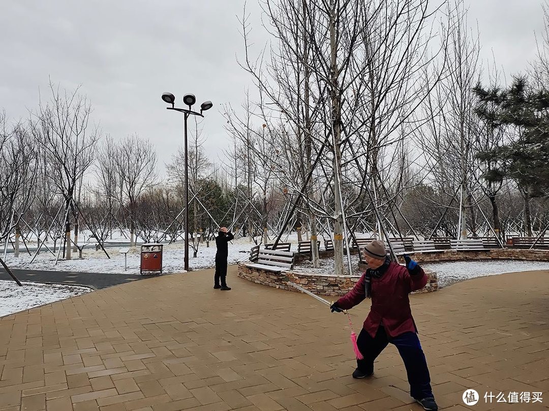 手机摄影|雨夹雪下的公园随拍记录