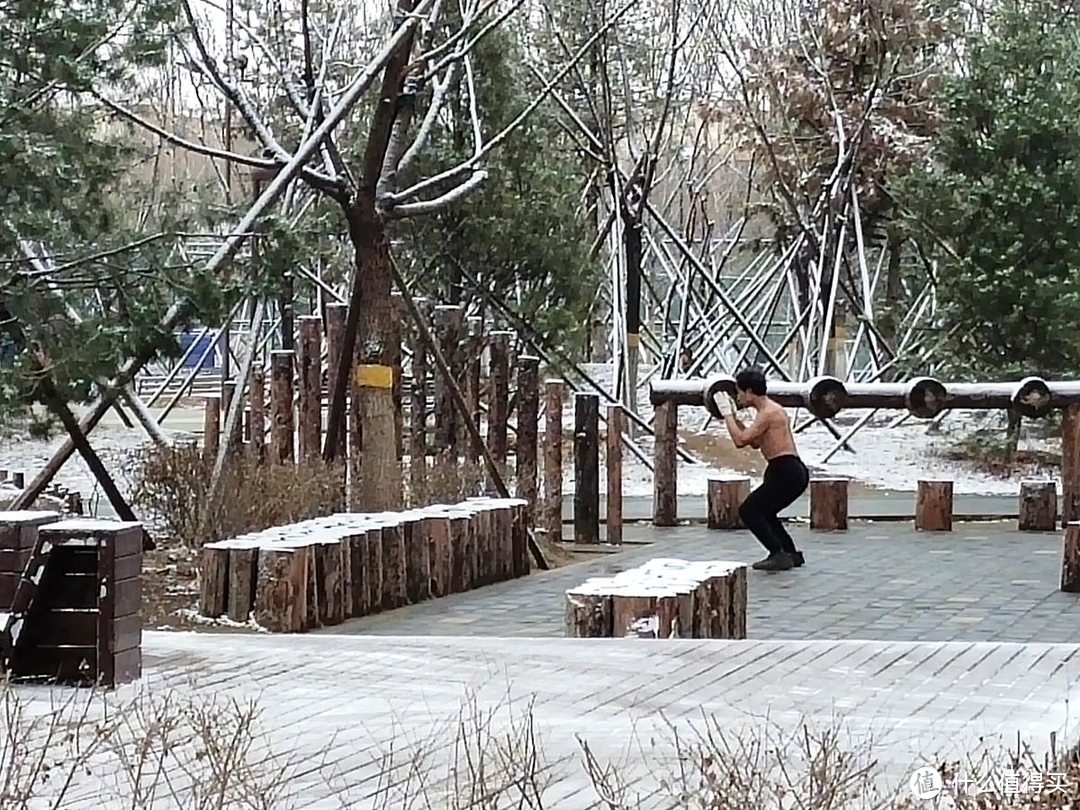 手机摄影|雨夹雪下的公园随拍记录