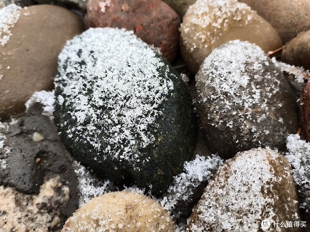 手机摄影|雨夹雪下的公园随拍记录